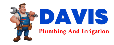 Trusted plumber in BUFORD